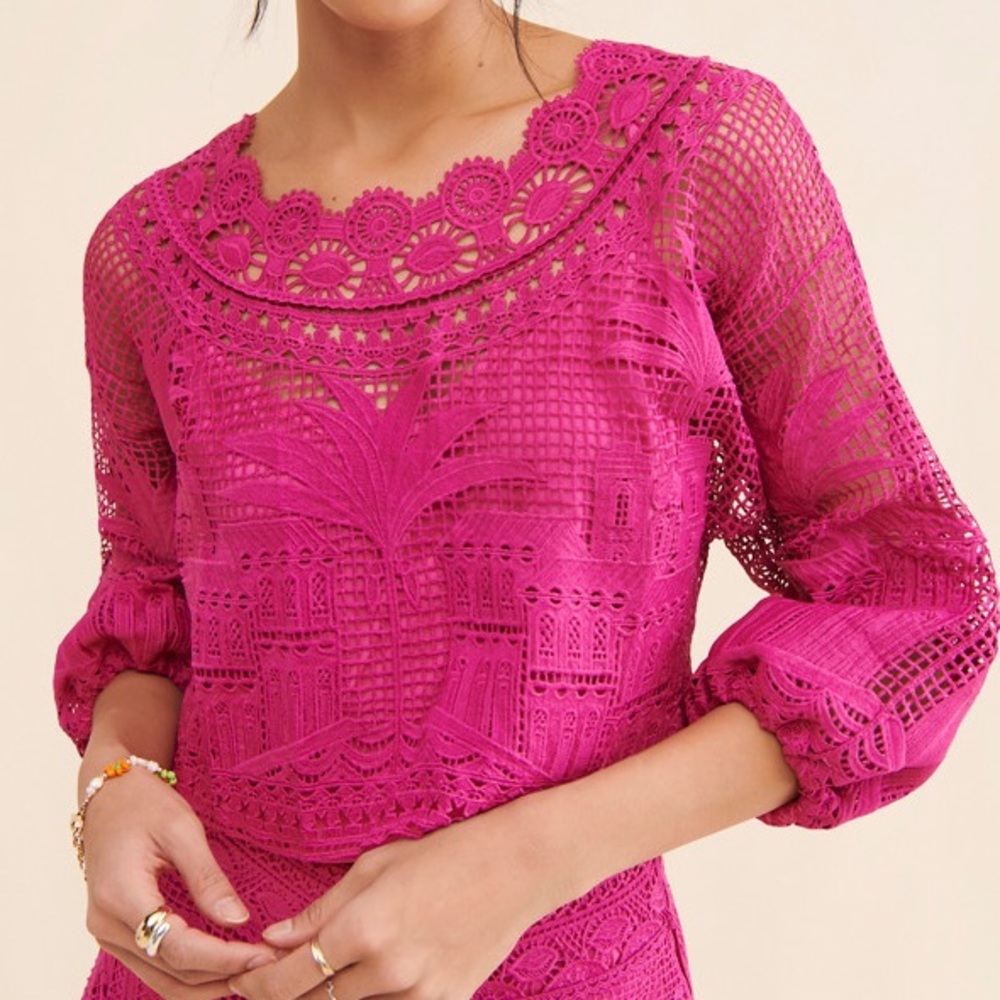 FARM Rio Alucina Luz Pink Guipure Crop Top Size Small